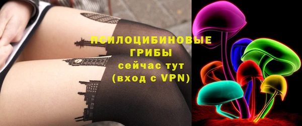 spice Абаза