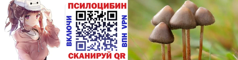 Псилоцибиновые грибы ЛСД  ОМГ ОМГ как зайти  Юрга  наркота 